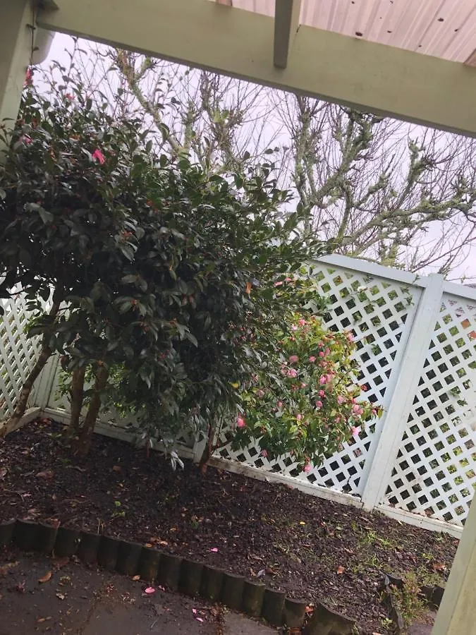 Guest house Ocean Downs Home Mount Maunganui New Zealand